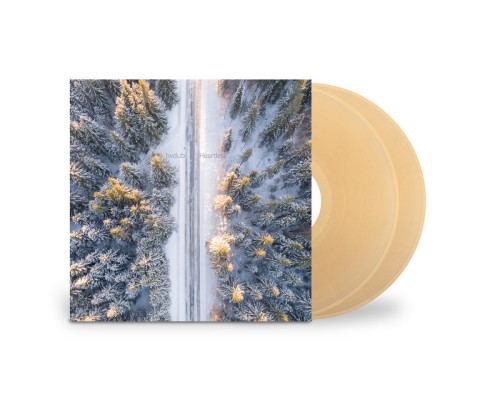 bvdub-heartless vinyl